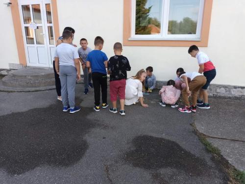 IMG-137e12f0c75999fca701b6acd0c8d3ba-V